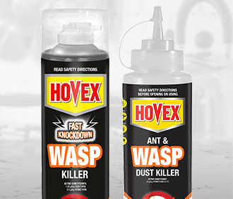 Wasp