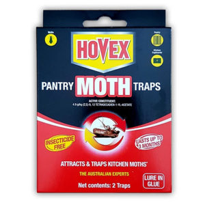 Pantry Moth Traps